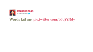 Illustration for article titled Patti Stanger Thinks Mitt Romney is the Perfect Man